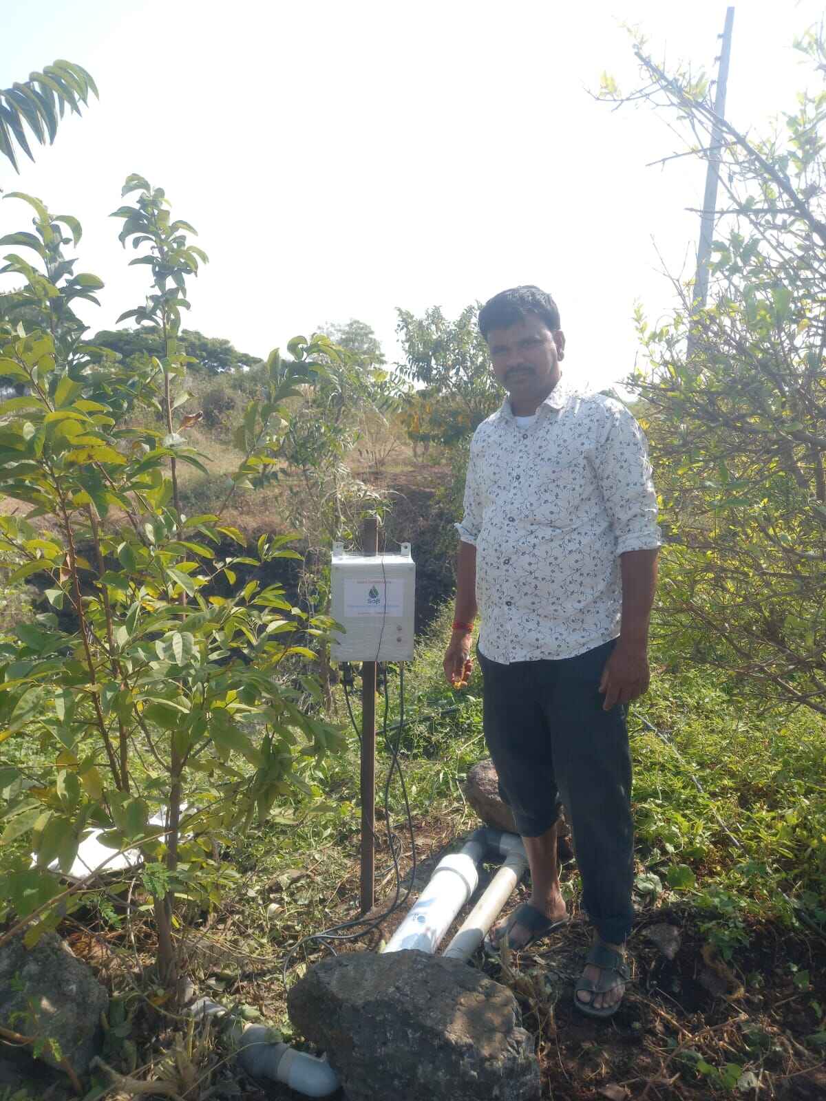 hard water effects on crops slow plant growth solution farming india